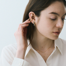 Preciosa Crystals ビジューフックピアス