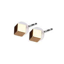 Pt900post キューブピアス 2サイズ