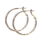 3サイズ×3コーティング テクスチャーフープピアス