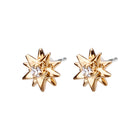 Pt900post スパークルピアス