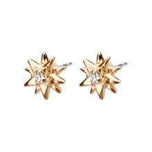 Pt900post スパークルピアス