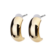 Pt900post ハーフラウンドピアス