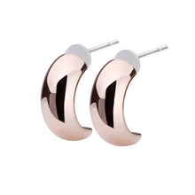 Pt900post ハーフラウンドピアス