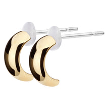 Pt900post ハーフラウンドピアス スモール